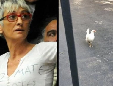 «Επικίνδυνη» για το πολίτευμα η γυναίκα που πέταξε την κότα μέσα στο Μέγαρο Μαξίμου!